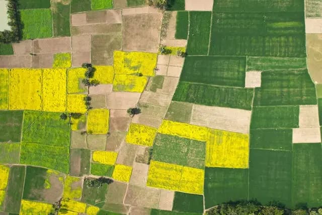 Aerial view of farm plots in a green and yellow patchwork